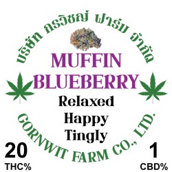 Blueberry Muffin