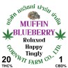 Blueberry Muffin