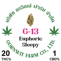 G-13